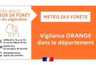 FEUX DE FORÊT ET DE VÉGÉTATION > VIGILANCE ORANGE