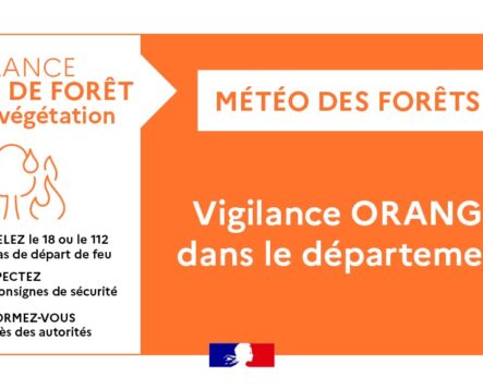 FEUX DE FORÊT ET DE VÉGÉTATION > VIGILANCE ORANGE