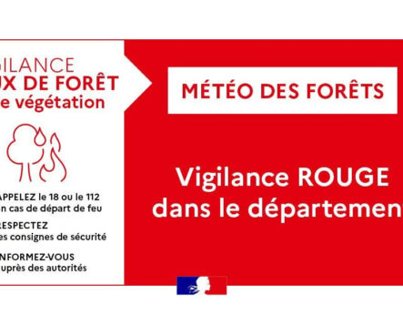 FEUX DE FORÊT ET DE VÉGÉTATION > VIGILANCE ROUGE